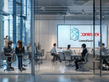 电子商务有限公司， belongs to which Industry